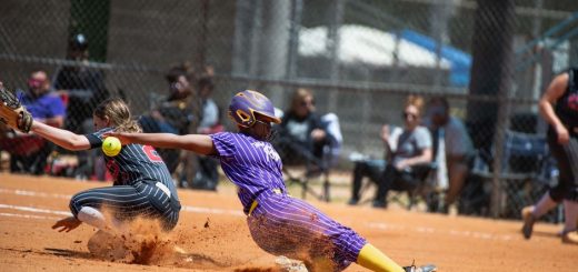 Softball Positions Explained: Roles, Responsibilities and Field Numbers