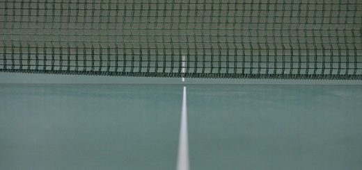 Who Is the Best Table Tennis Player in the World?