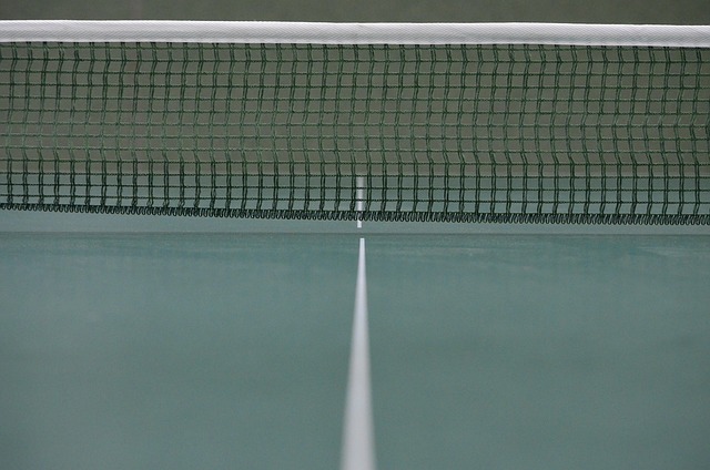 Who Is the Best Table Tennis Player in the World?