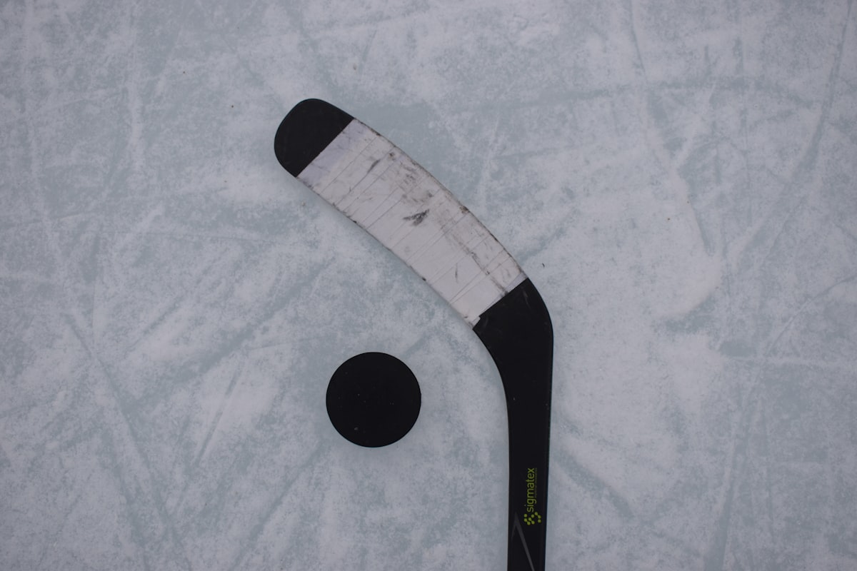 Types of Hockey: How the Main Forms of the Sport Differ