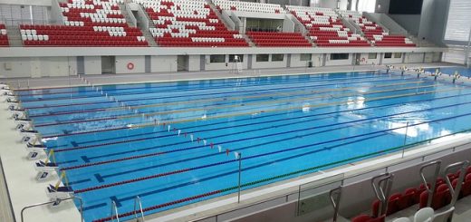 Standard Swimming Pool Size: Olympic Pool Dimensions Explained
