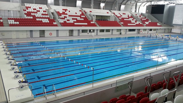 Standard Swimming Pool Size: Olympic Pool Dimensions Explained
