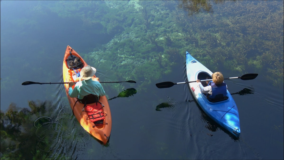 What Are Recreational Activities? Meaning, Examples and Benefits