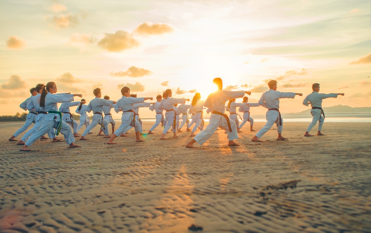 Skills in Karate: The Techniques, Attributes, and Tactics Practitioners Develop